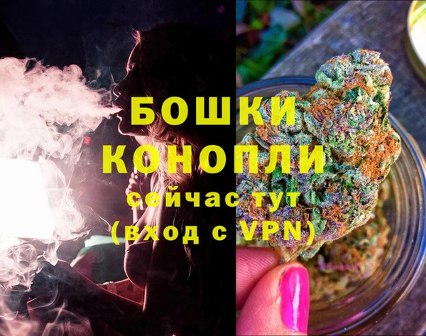 первитин Гусиноозёрск