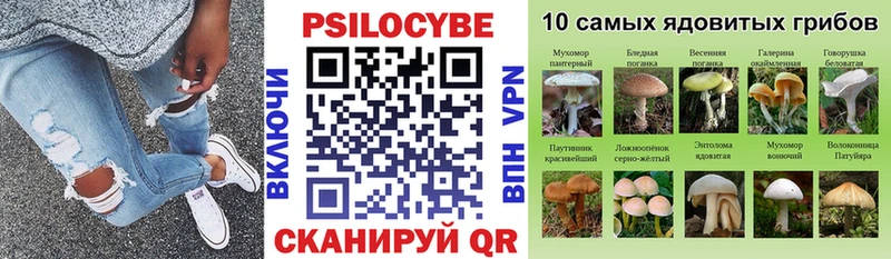 Псилоцибиновые грибы MAGIC MUSHROOMS  Маркс 