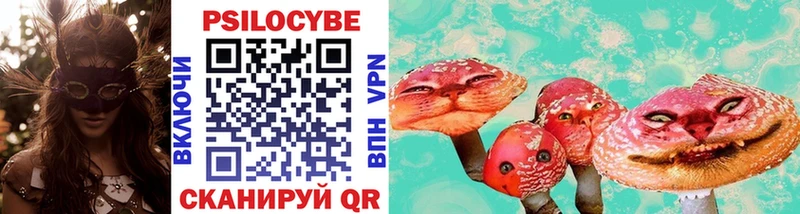 Псилоцибиновые грибы прущие грибы Маркс