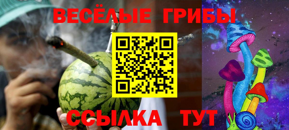 Псилоцибиновые грибы Psilocybine cubensis Маркс