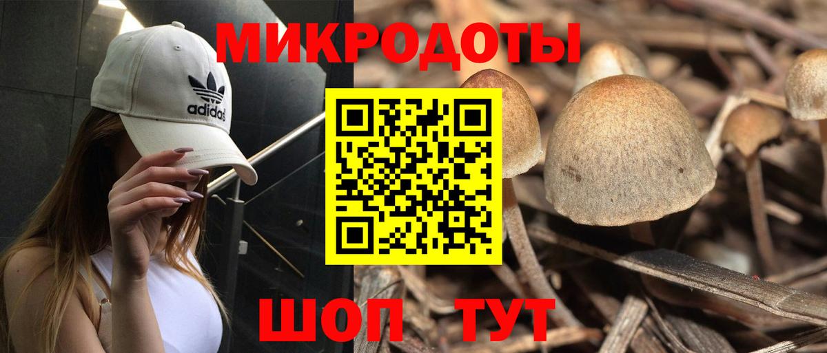 Маркс  Галлюциногенные грибы мухоморы  продажа наркотиков  Псилоцибиновые грибы MAGIC MUSHROOMS  Вход с VPN 