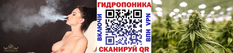 Марихуана план  Маркс 